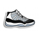 Air Jordan 11