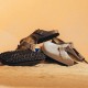 Birkenstock Boston Suede Antique White Birkenstock Boston Suede Antique White