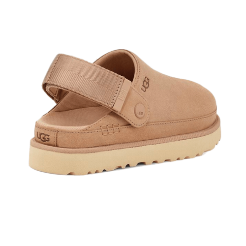 UGG Goldenstar Clog Driftwood UGG Goldenstar Clog Driftwood