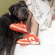 Nike Dunk Low SP Orange Blaze (Syracuse) Nike Dunk Low SP Orange Blaze (Syracuse)