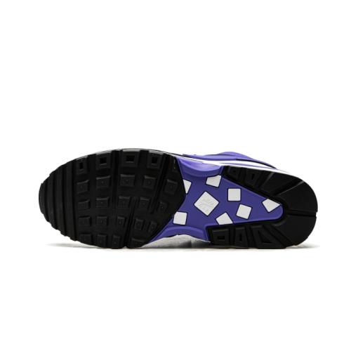 Nike Air Max BW Persian Violet Nike Air Max BW Persian Violet