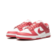 Nike Dunk Low Archeo Pink Nike Dunk Low Archeo Pink