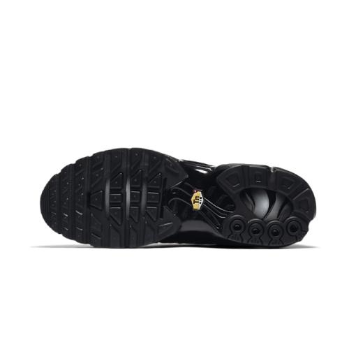 Nike Air Max Plus Triple Black Nike Air Max Plus Triple Black