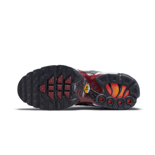 Nike Air Max Plus Sisterhood Nike Air Max Plus Sisterhood