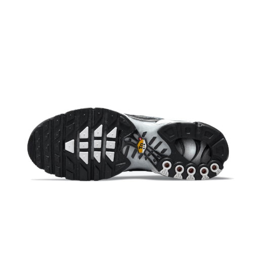 Nike Air Max Plus Dark Smoke Grey Nike Air Max Plus Dark Smoke Grey