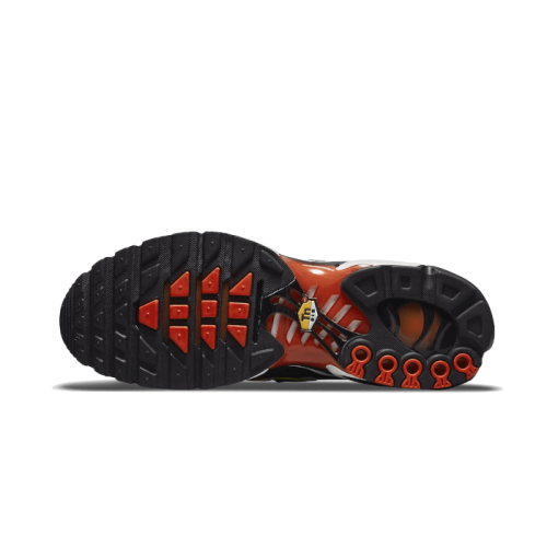 Nike Air Max Plus Sunset Gradient Nike Air Max Plus Sunset Gradient