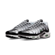 Nike Air Max Plus Seafoam Grey Black Nike Air Max Plus Seafoam Grey Black