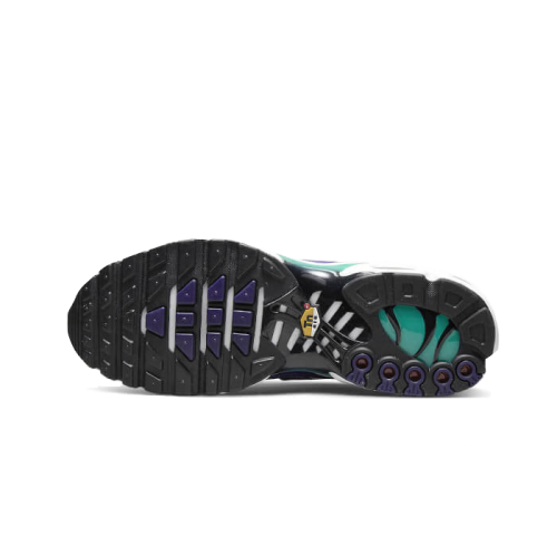 Nike Air Max Plus White Grape Ice Nike Air Max Plus White Grape Ice