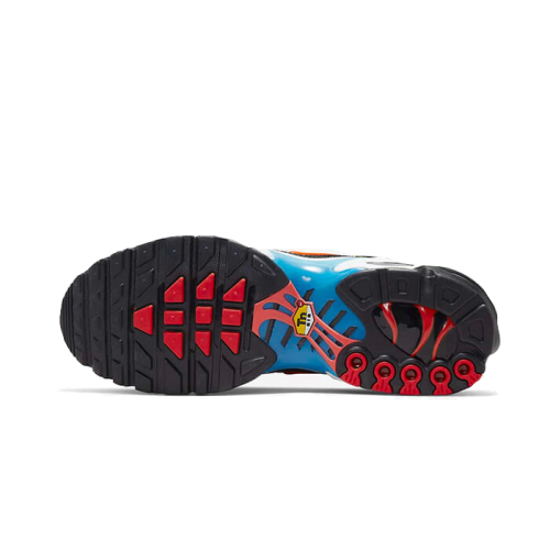 Nike Air Max Plus Brixton Nike Air Max Plus Brixton