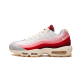 Nike Air Max 95 Anatomy of Air Nike Air Max 95 Anatomy of Air
