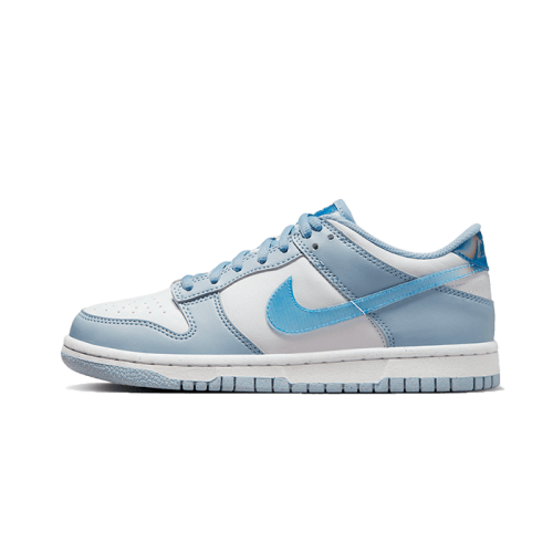 Nike Dunk Low Hologram Nike Dunk Low Hologram
