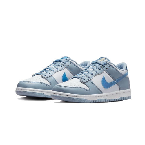 Nike Dunk Low Hologram Nike Dunk Low Hologram