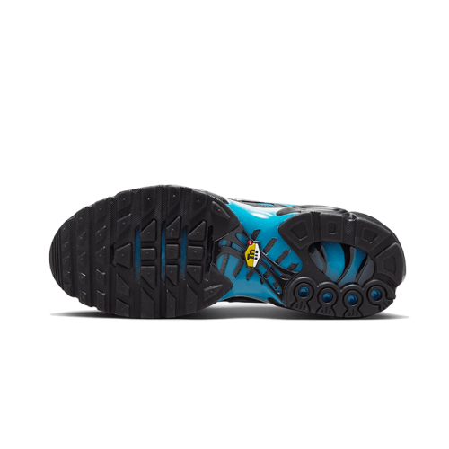 Nike Air Max Plus Blue Gradient Nike Air Max Plus Blue Gradient