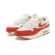 Nike Air Max 1 Rugged Orange Nike Air Max 1 Rugged Orange