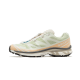 Salomon XT-6 Aloe Wash Feather Grey Salomon XT-6 Aloe Wash Feather Grey