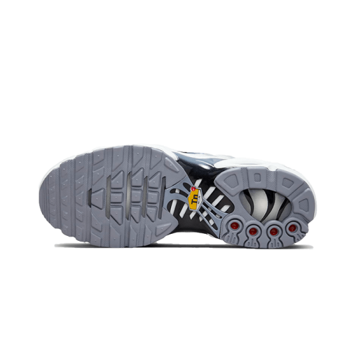 Nike Air Max Plus Sail Grey Nike Air Max Plus Sail Grey