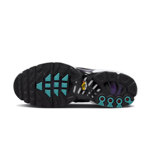 Nike Air Max Plus Reverse Grape Nike Air Max Plus Reverse Grape