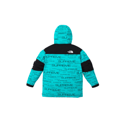 Supreme The North Face Coldworks 700-Fill Down Parka Blue Supreme The North Face Coldworks 700-Fill Down Parka Blue